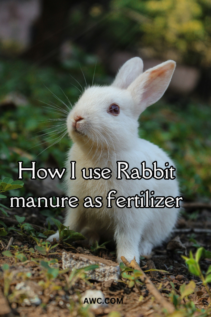 How I use Rabbit manure as fertilizer